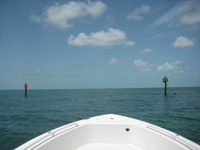 Loading Image