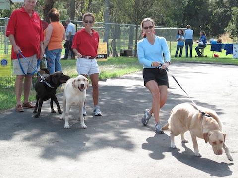 doggies3 024